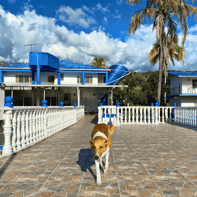 HOTEL-TERRANOVA-FOTOS (4)